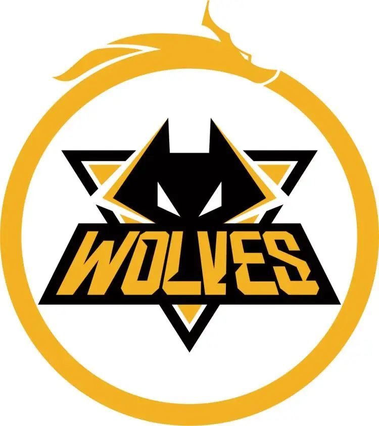 LEC败者组决赛结束了争夺，G2 3-0 FNC晋级决赛